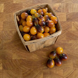 Indigo Sun, (F1) Tomato Seeds